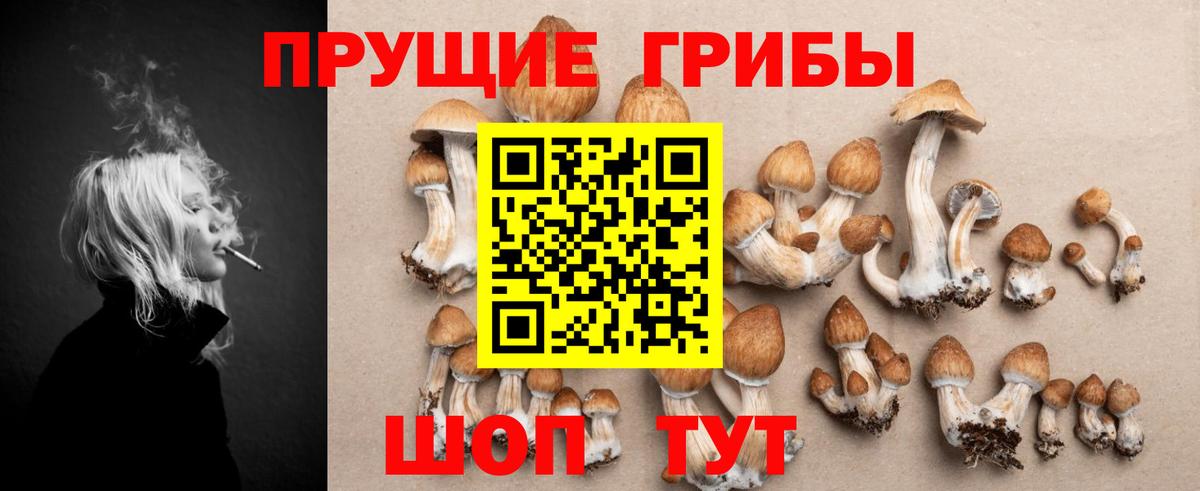 Великие Луки  Галлюциногенные грибы прущие грибы  Вход с VPN 